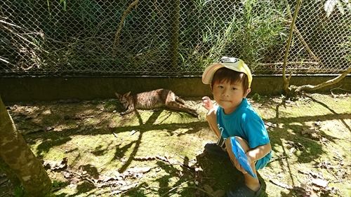 2日・ネオパークとシュノーケル！